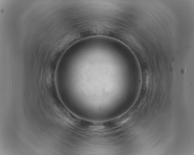 X0000089660266200706211136