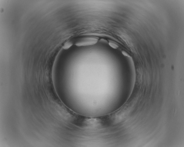 X0000089660269200706211136