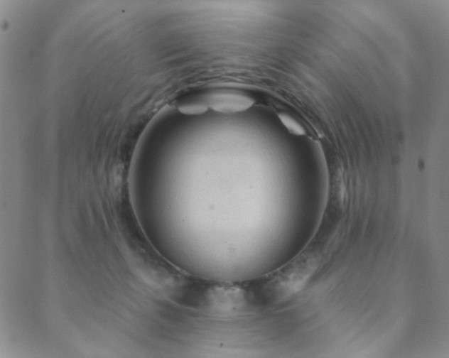 X0000089660271200706211136