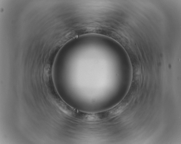 X0000089660275200706211136