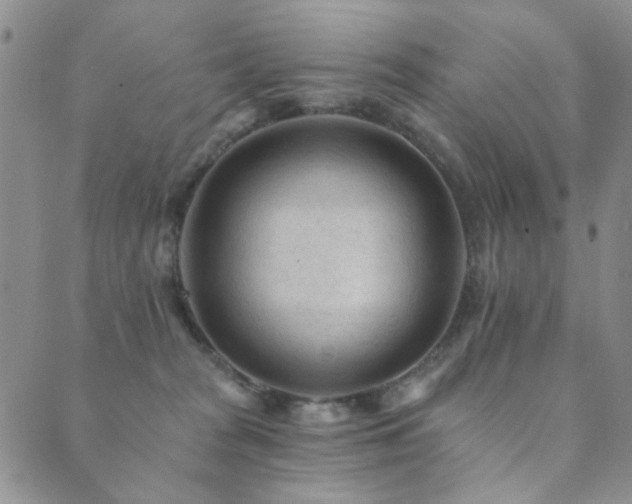X0000089660277200706211136