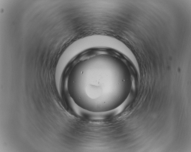 X0000089660280200706211136
