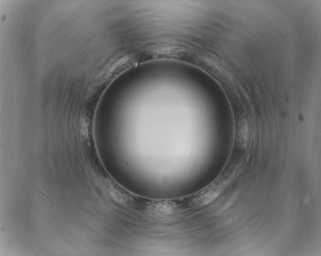 X0000089660282200706211136