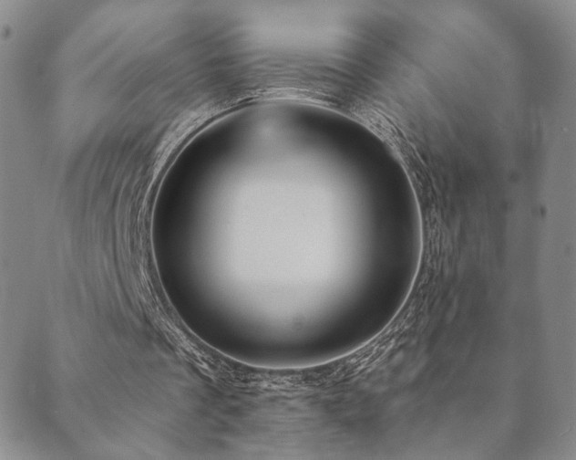X0000089660289200706211136
