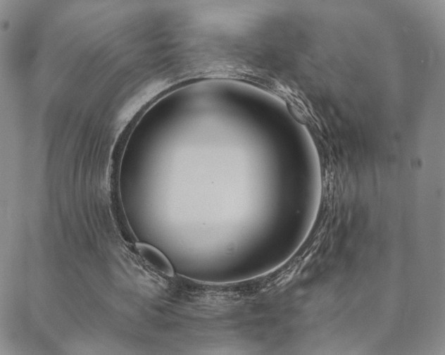 X0000089660292200706211136