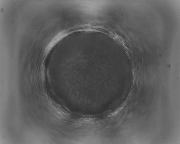 X0000089660295200706211136