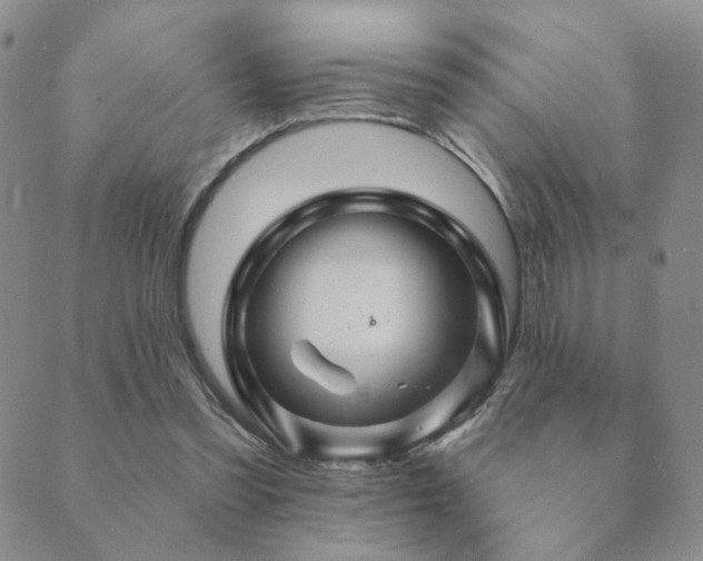 X0000089660301200706211135