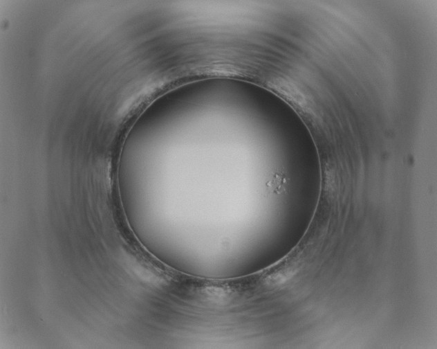 X0000089660302200706211135