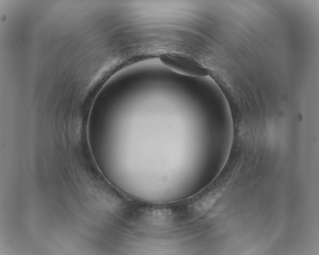 X0000089660304200706211135