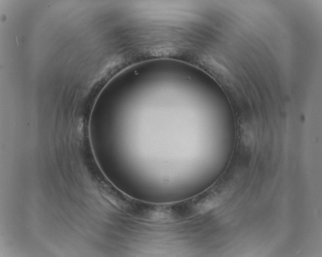 X0000089660308200706211135