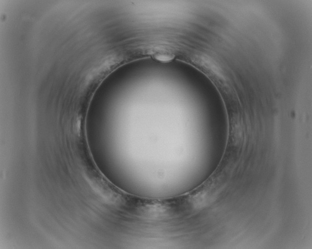 X0000089660310200706211135