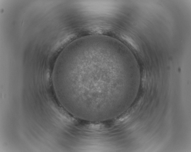 X0000089660314200706211135