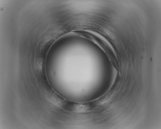 X0000089660315200706211135