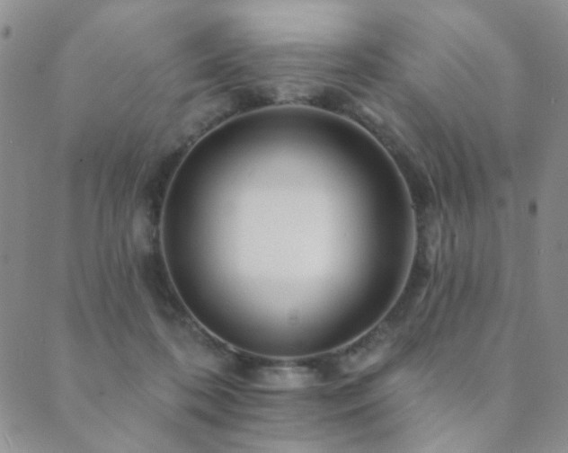 X0000089660316200706211135