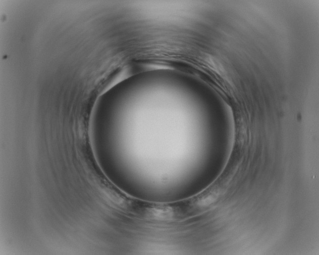 X0000089660317200706211135