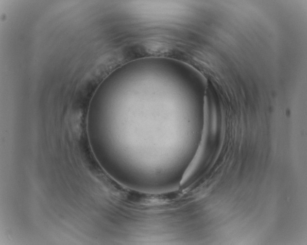 X0000089660319200706211135