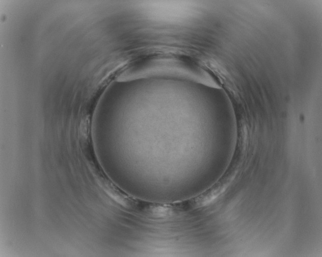 X0000089660325200706211135