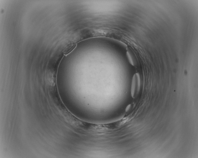 X0000089660331200706211135