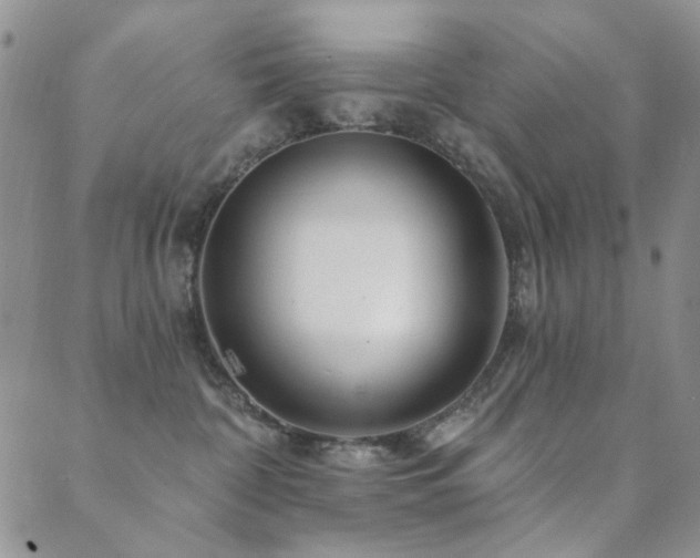 X0000089660332200706211135