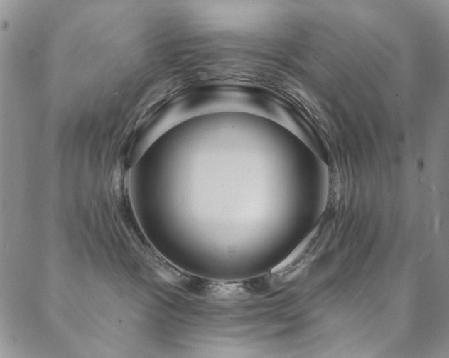 X0000089660333200706211135