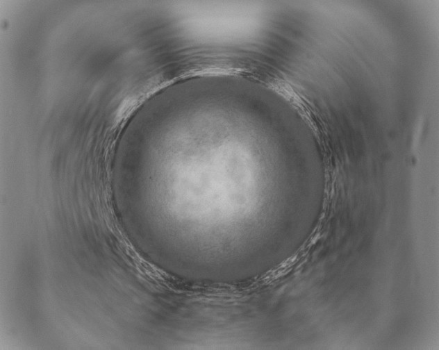 X0000089660337200706211134