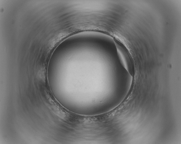 X0000089660345200706211134