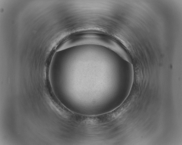 X0000089660350200706211134