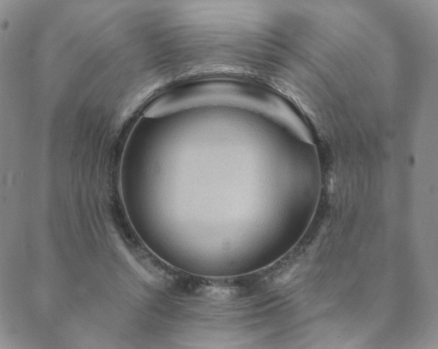 X0000089660352200706211134