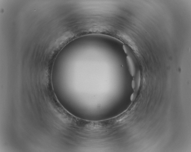 X0000089660354200706211134