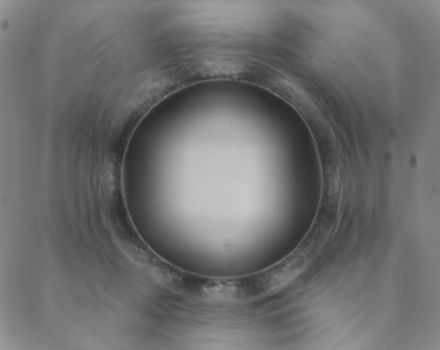 X0000089660362200706211135