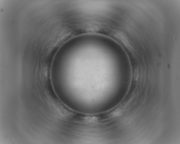 X0000089660363200706211135