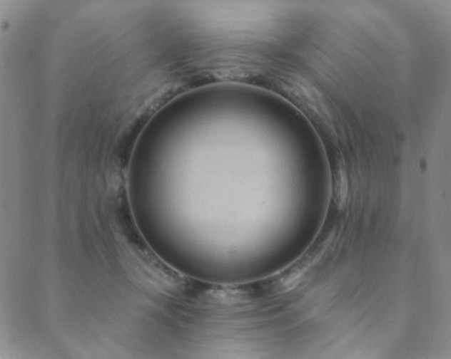 X0000089660367200706211135
