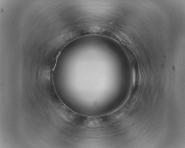 X0000089660368200706211135