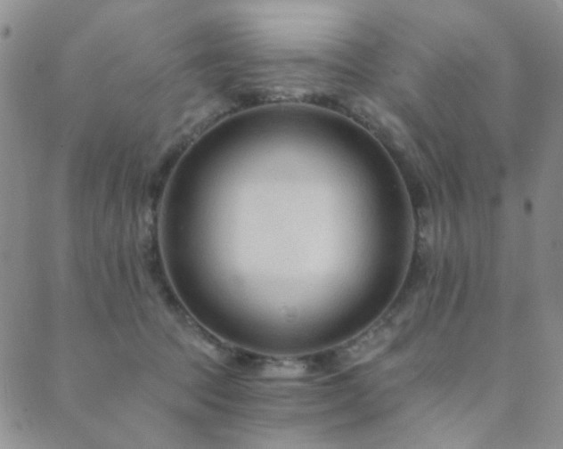 X0000089660369200706211135