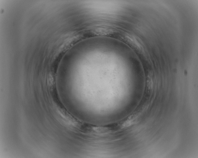X0000089660371200706211135