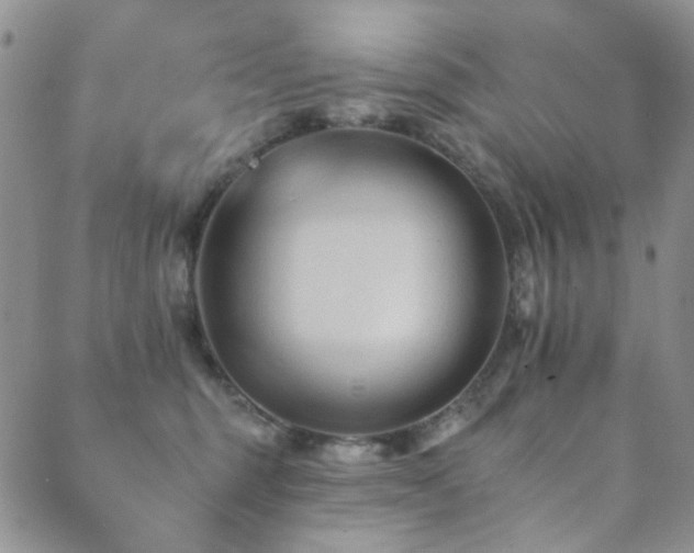 X0000089660375200706211135
