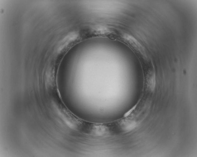 X0000089660376200706211135