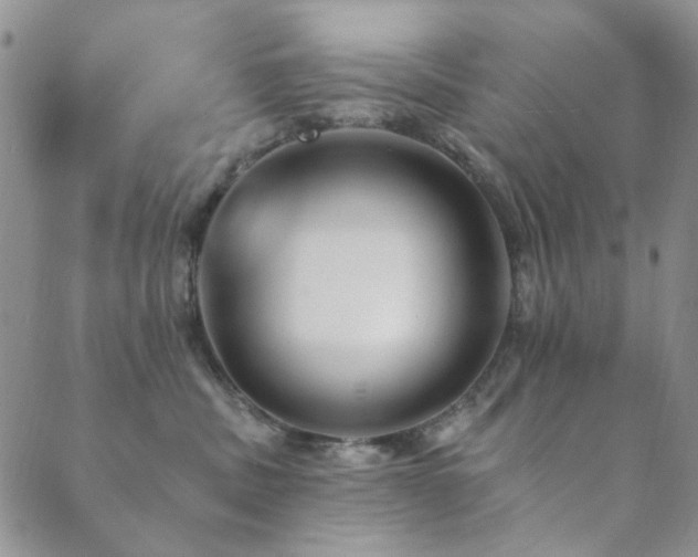 X0000089660379200706211135