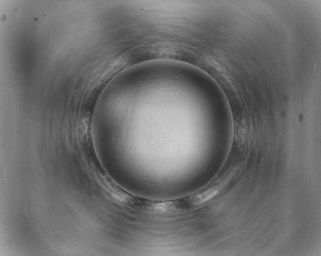X0000089660382200706211135