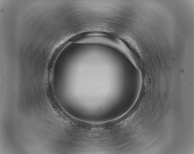 X0000089660388200706211134