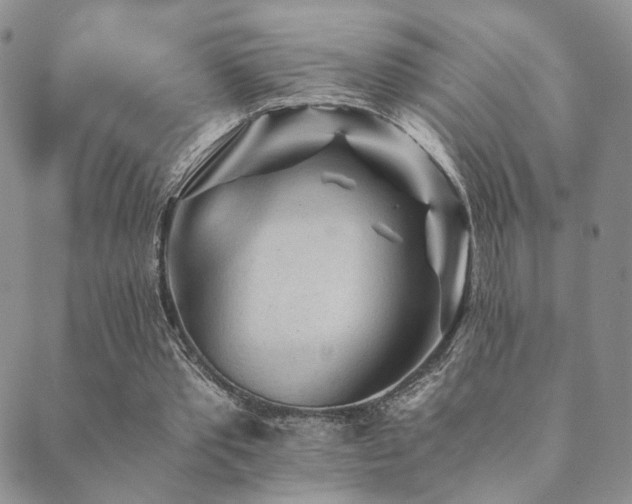 X0000089660389200706211134