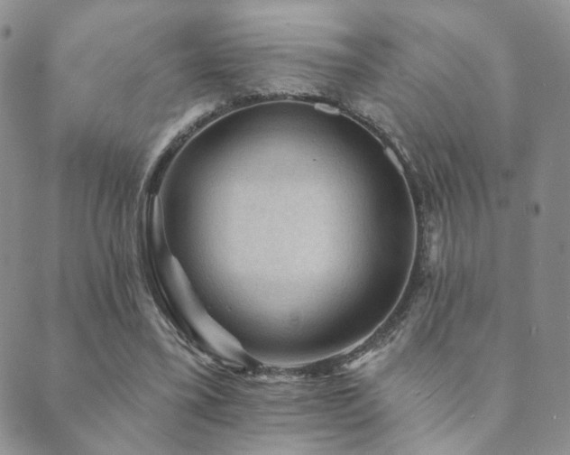X0000089660395200706211134