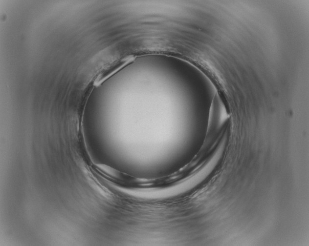 X0000089660397200706211134