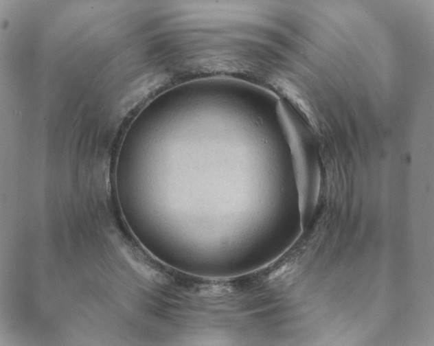 X0000089660398200706211134