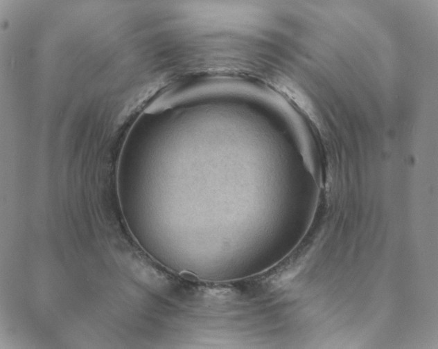 X0000089660401200706211134