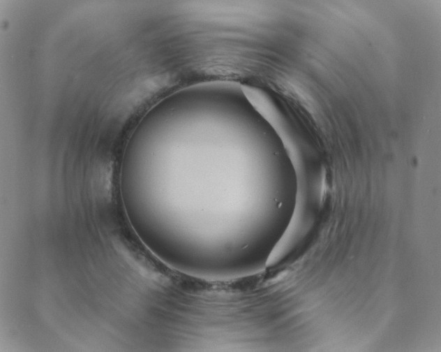 X0000089660404200706211134
