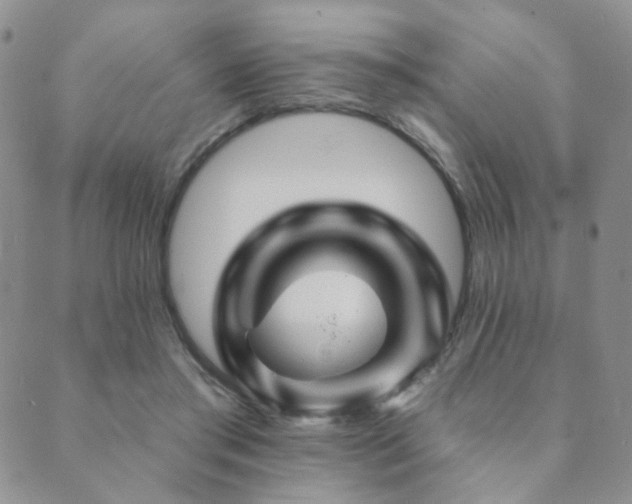 X0000089660405200706211134