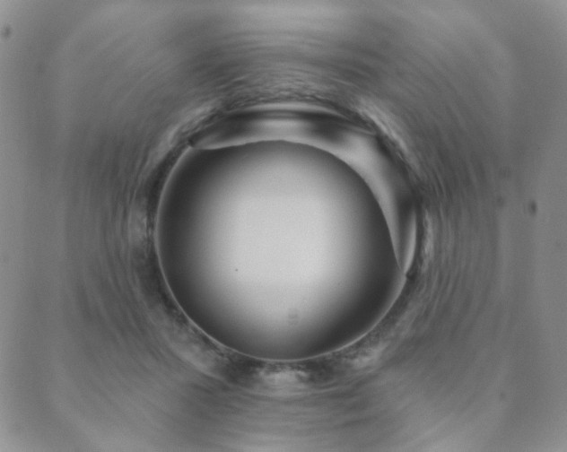 X0000089660407200706211134
