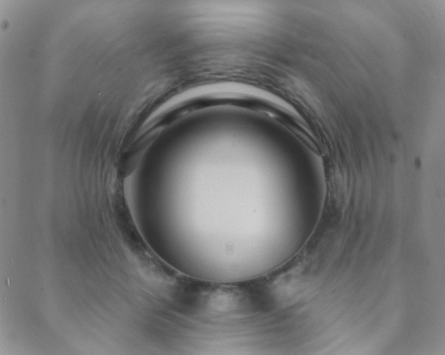 X0000089660412200706211134