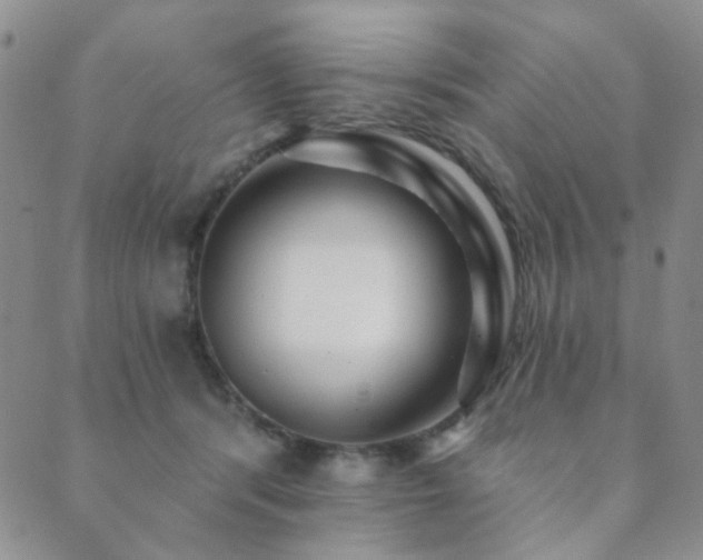 X0000089660416200706211134